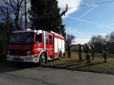 Waiblingen-Erbachhof: Erster Sturmschaden - Baum faellt auf Telefonleitung